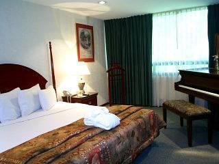 Pedregal Palace 3* Mexico City