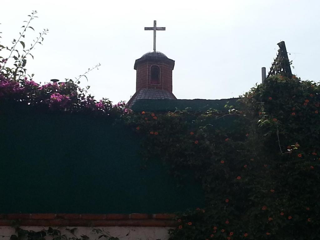 Maria Del Alma House Mexico City