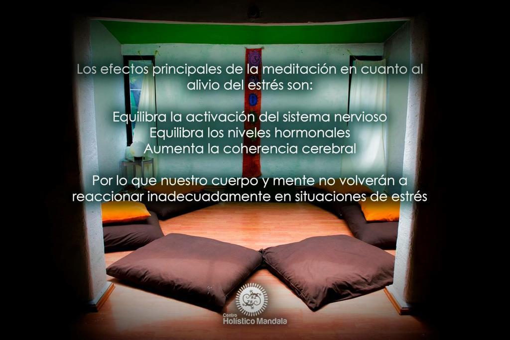 Mi Aldea Holistica