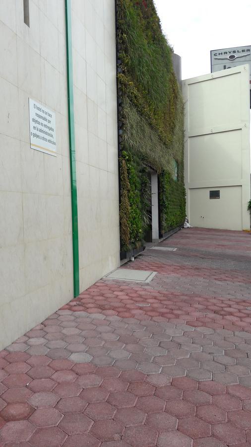 Y Natura 4* México DF