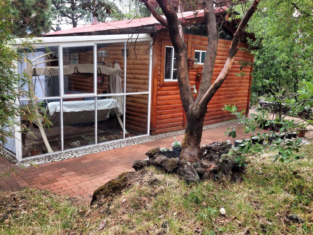 Chalet Cabana Espacio De Oyamel *