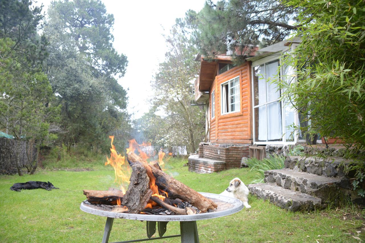 Chalet Cabana Espacio De Oyamel *