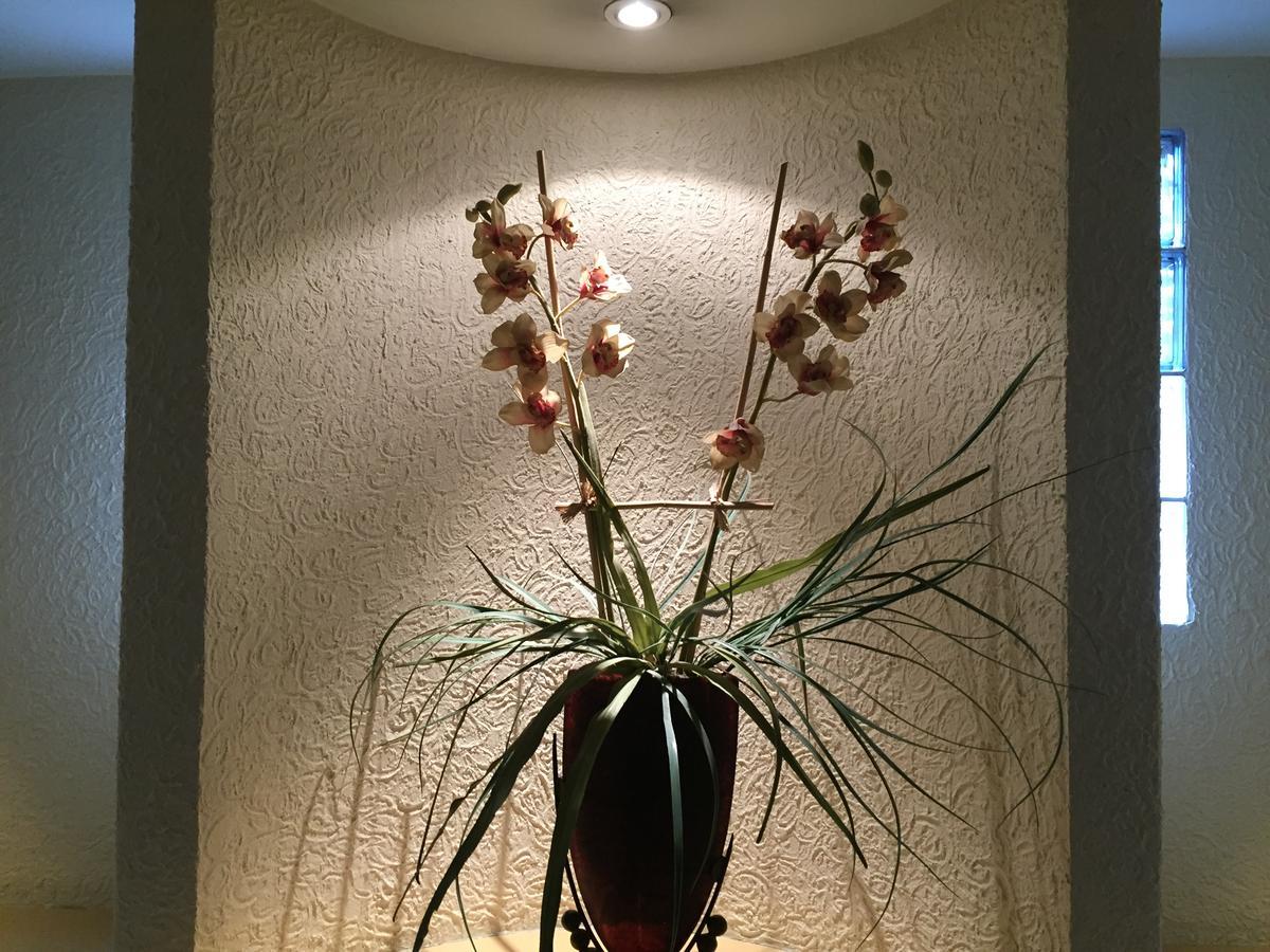 Hotel La Luna México DF