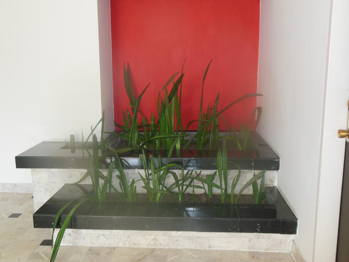 Hotel Paraiso 3*