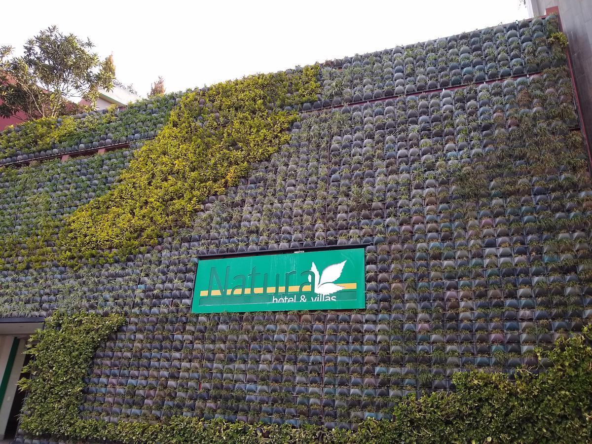 Hotel Y Natura 4*
