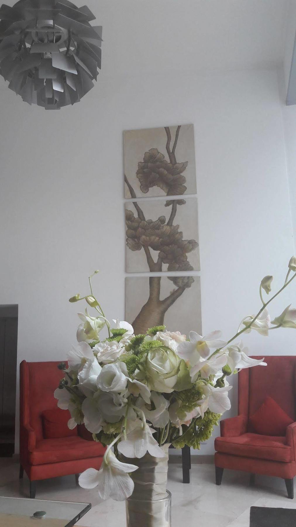 Apartamento Teca Once
