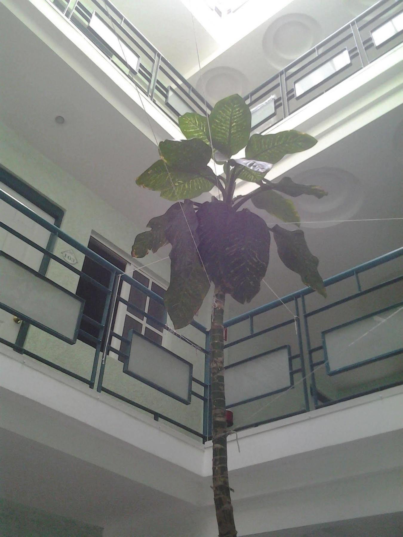 Sonora Hotel