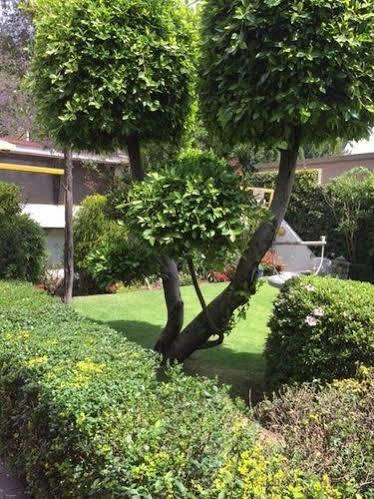 Apartamento Grupo Kings - Bosques De Duraznos 72 México DF
