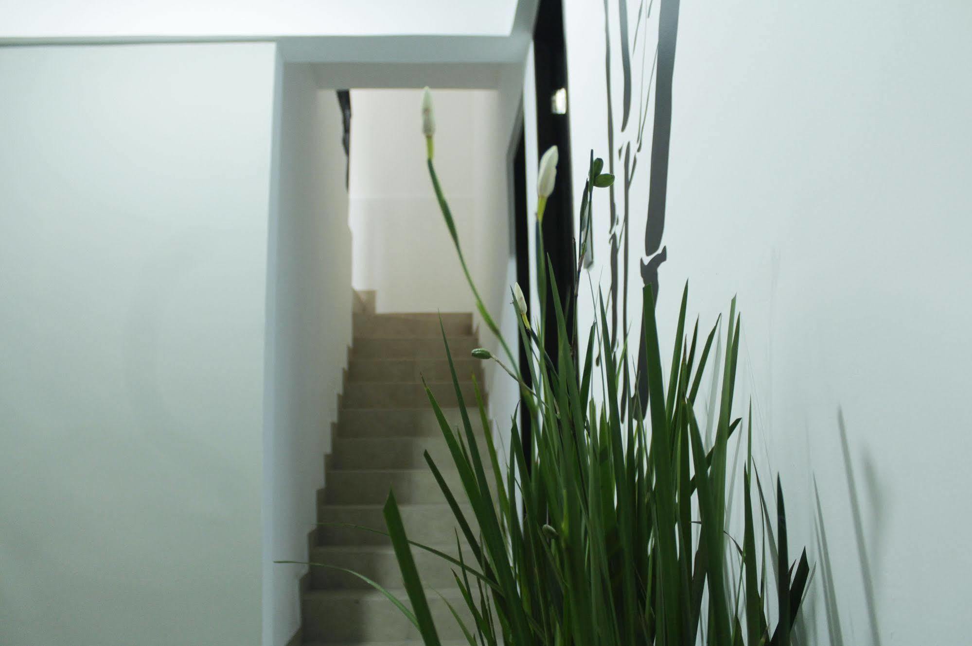 Be Condesa Inn México DF