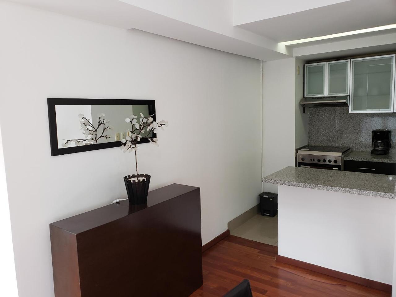 The New Puerta Alameda Luxury Lofts