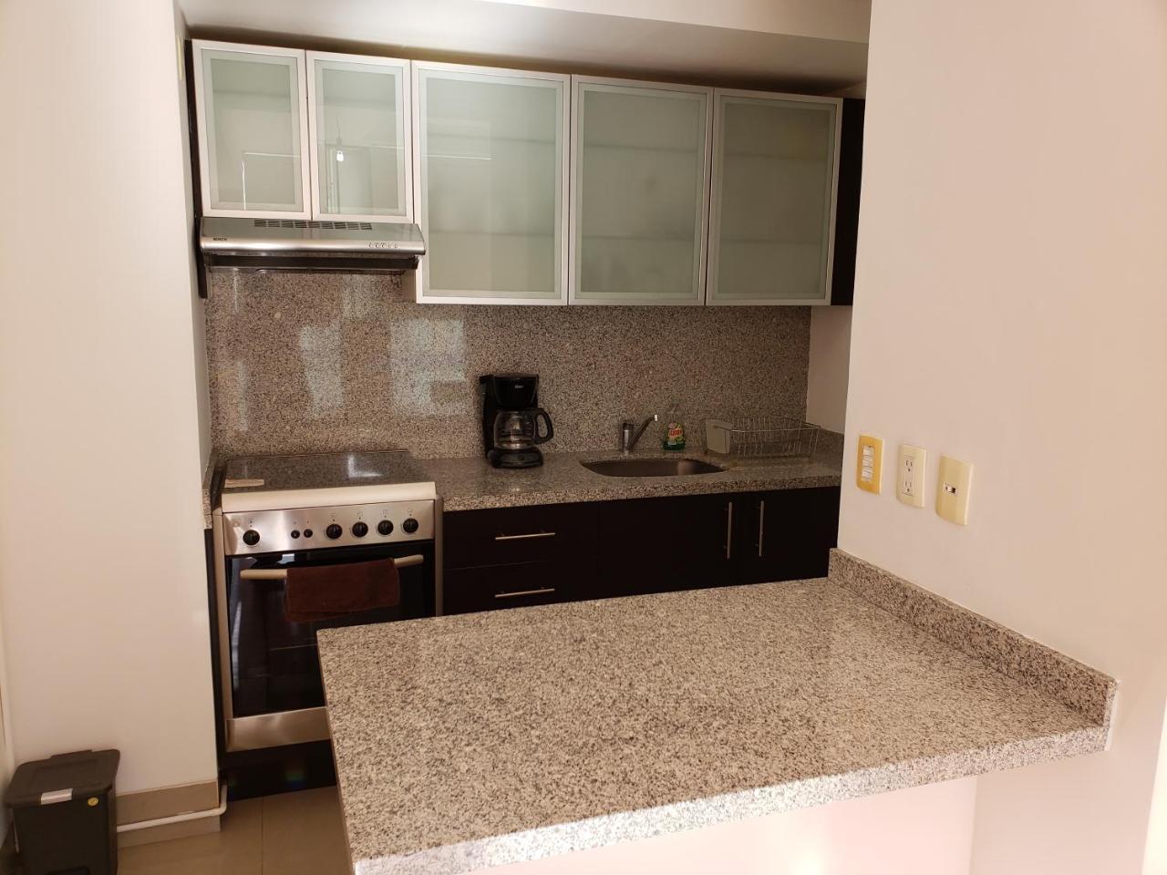 The New Puerta Alameda Luxury Lofts Apartamento *