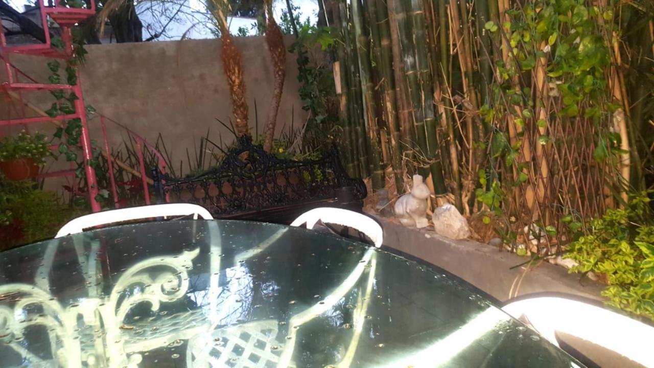 Mi Aldea Holistica * México DF