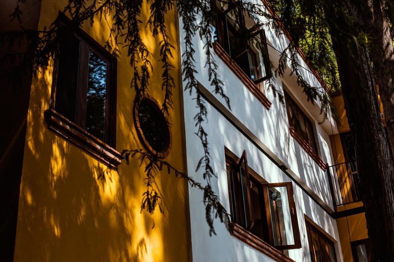 Bed & Breakfast Casa Jacinta