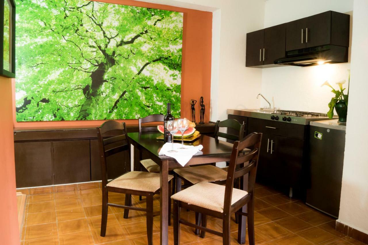 Apartamento 5a, Altavista, Garden House, Welcome To San Angel México DF