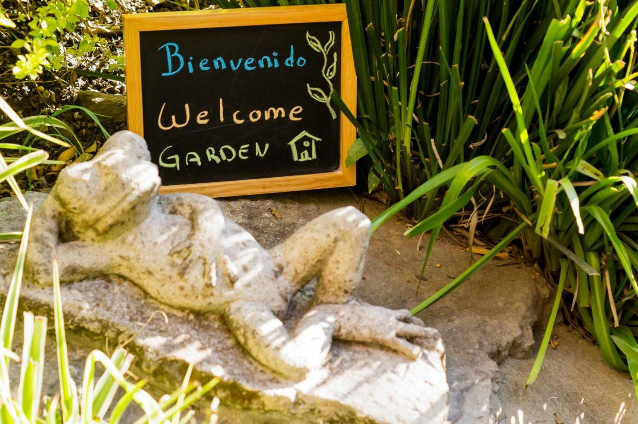 Apartamento 1-b El Rincon Garden House, Welcome To San Angel *