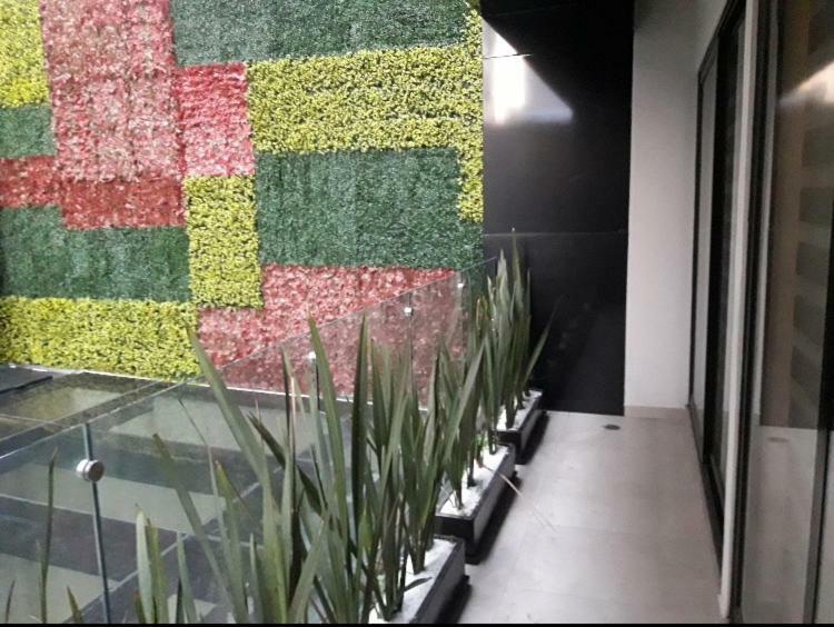 Guadalupe Cdmx, Nuevo Estrena Mexico City
