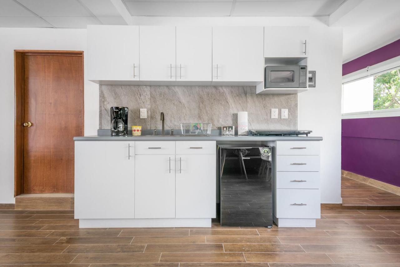Deluxe Loft At Colonia Roma