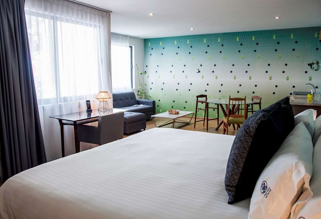 Pug Seal Polanco Allan Poe Hotel México DF