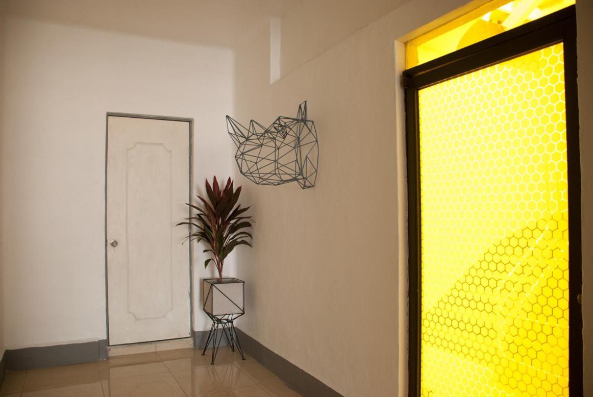 Bed and breakfast Wanderlust District México DF