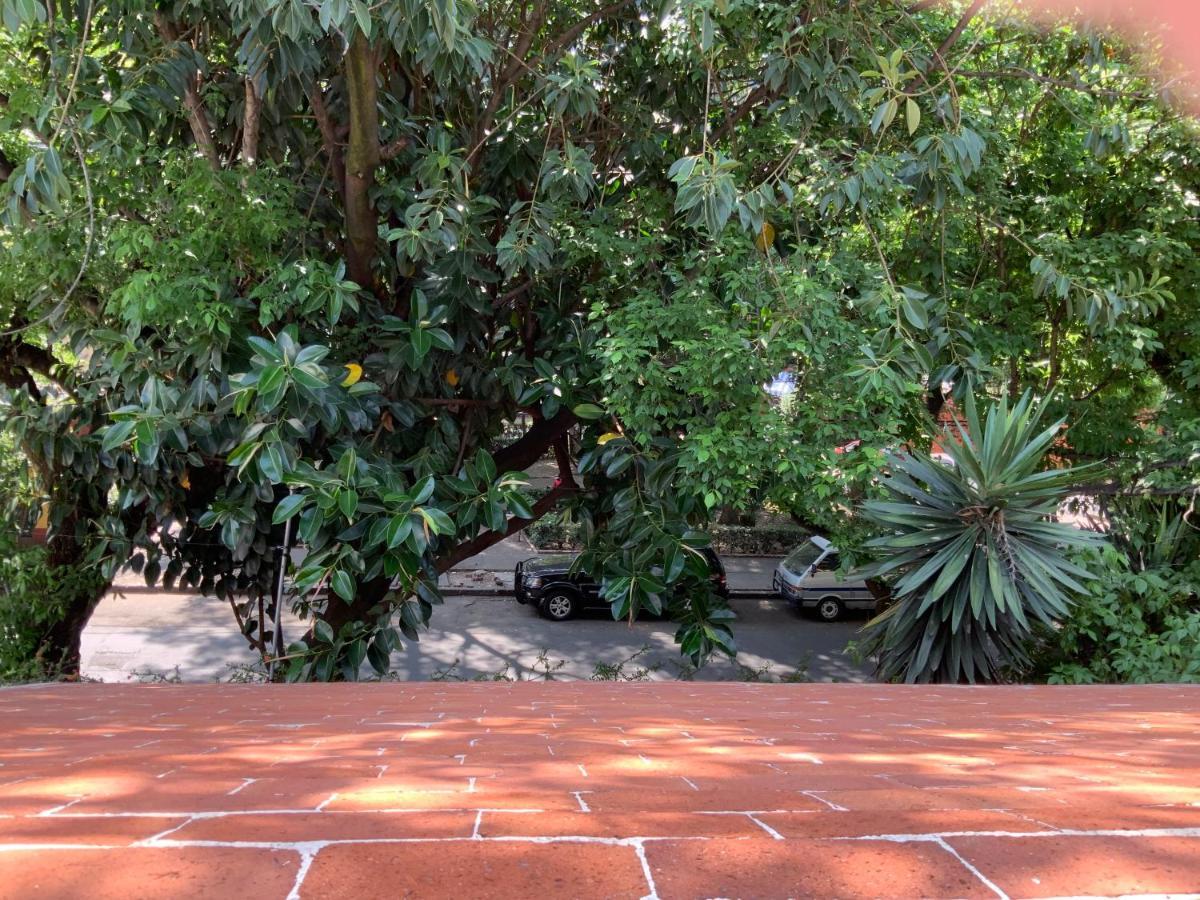 Guest house 