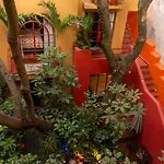 The Red Tree House