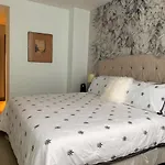 Blue Horse Apartment In New Polanco.