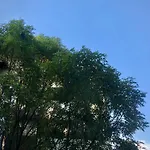 Loft Increíble en la mejor ubicación de la CDMX