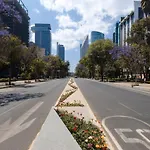 Sonder Los Ríos