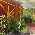 Indigo Guest House