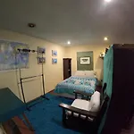 Neighbor of Frida Khalo, vintage stay in Coyoacán