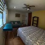 Neighbor of Frida Khalo, vintage stay in Coyoacán