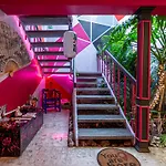 Welcome to... Casa Maguey.