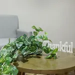 Relax In Style - Roma Norte 3Br - Fast Wifi