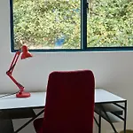 Apartamento Nuevo Con Vistas A Jardin Cerca De Coyoacan