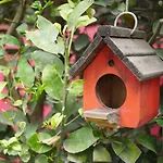 Colibri B&B
