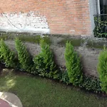 Hostal Centro de Coyoacan