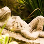 Suite 4A, Terraza, Garden House, Welcome To San Angel