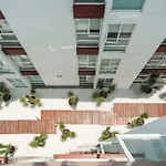 Two Room Apartment Reforma&Insurgentes