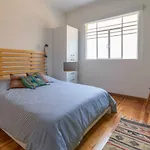 Welcome To Beautiful Condesa!