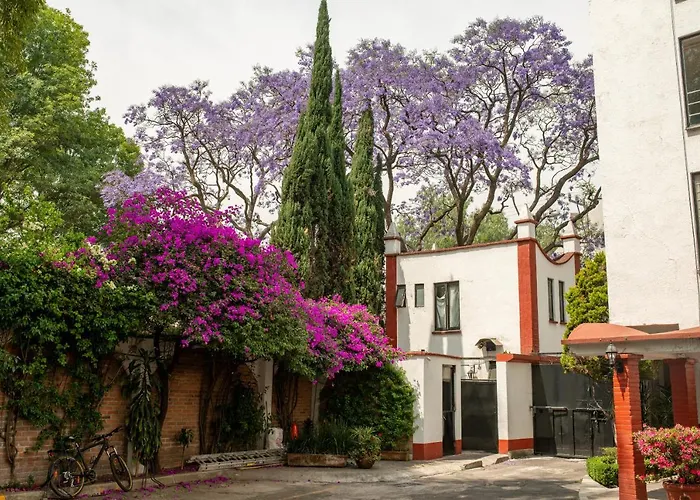 Viva Coyoacan