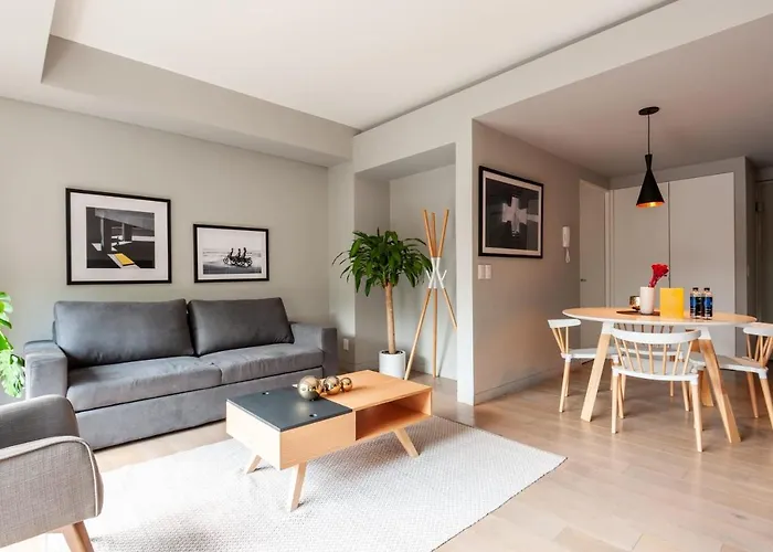 Dazzling 1BR in Roma Norte