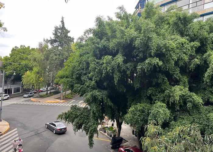 Tu Lugarcito En La Condesa.