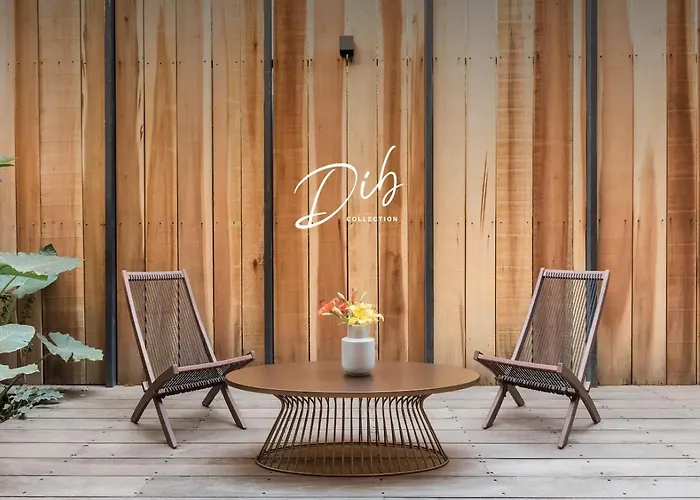 Dib Collection