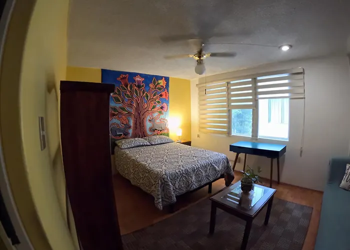 Neighbor of Frida Khalo, vintage stay in Coyoacán