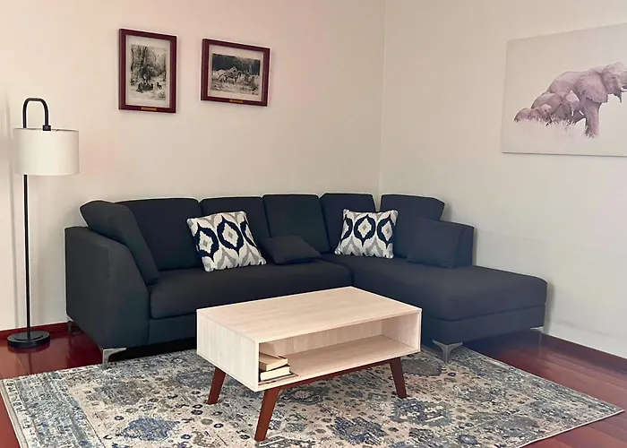 Condesa Residence Amsterdam D Sunny 2Bed 1Bath Apt In Condesa