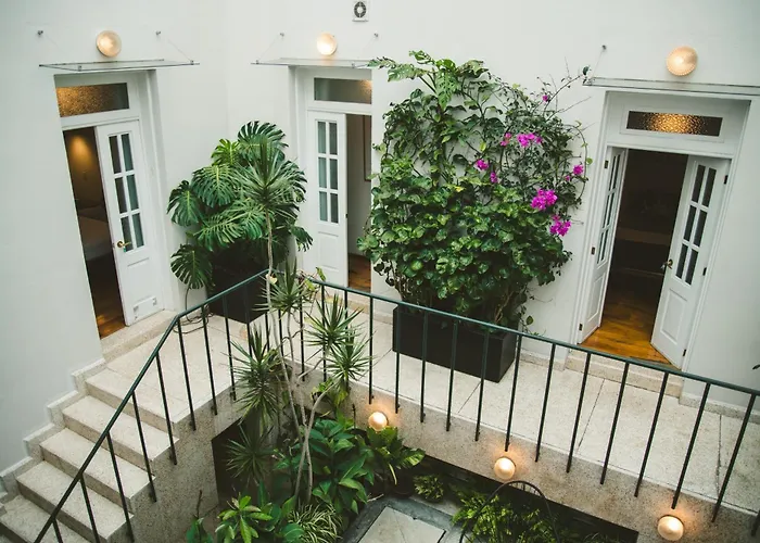 Exclusive Oasis In Roma Norte W Rooftop 8Br 85Ba