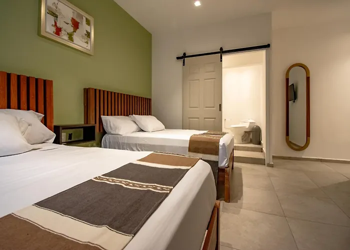 Collection O Hotel Lavanda Anzures