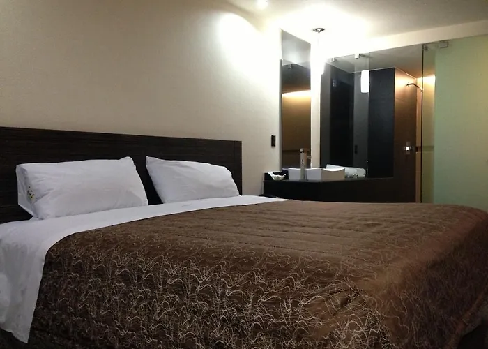 Hotel Amazonas