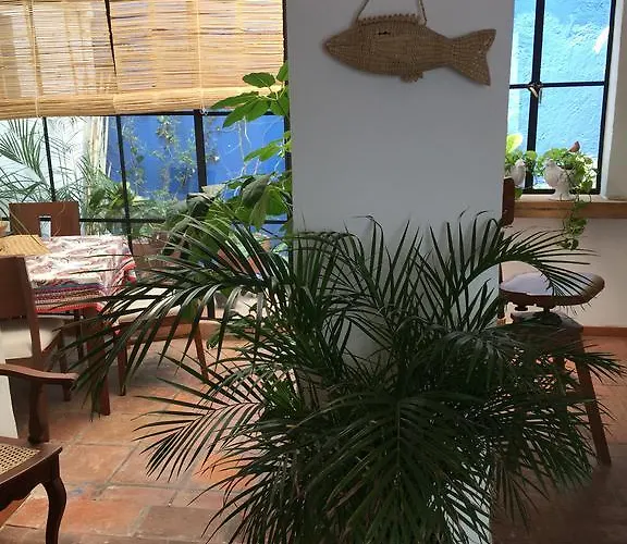 Casa Molcajete