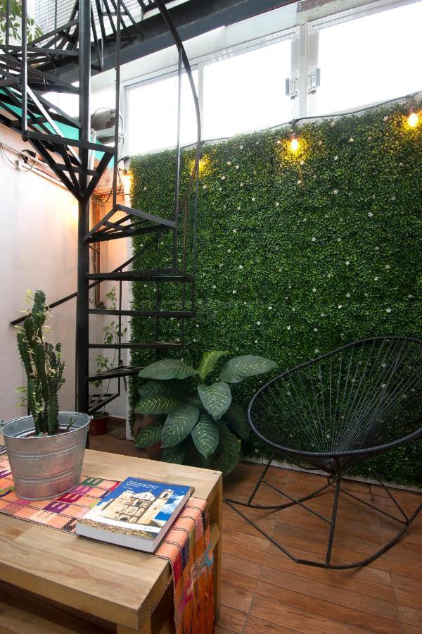 Casa Indigo Cdmx Hostel Mexico City